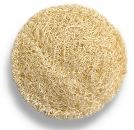 Disco exfoliante natural de luffa